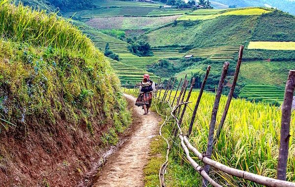 feature_vietnamvisa