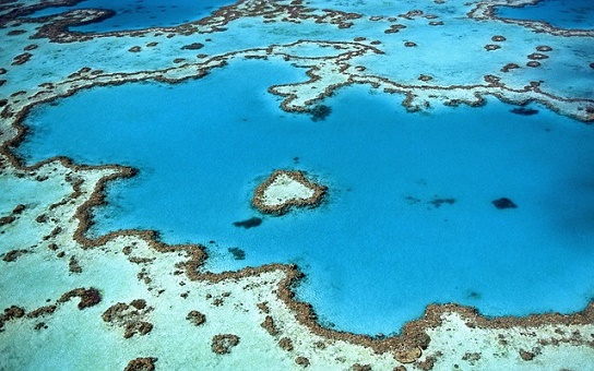Broers en zussen controleren onderbreken How to Explore the Great Barrier Reef: 4 Best Bases