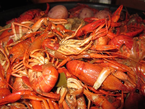 crawfish-99850_640