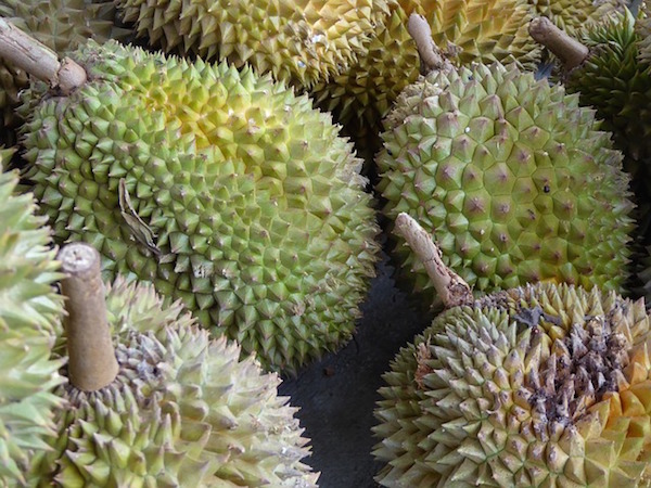 durian